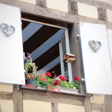 Appartement Rénové Près Du Centre De Avec Balcon, 2 Et Wi-fi Inclus - Fr-1-722-7 *