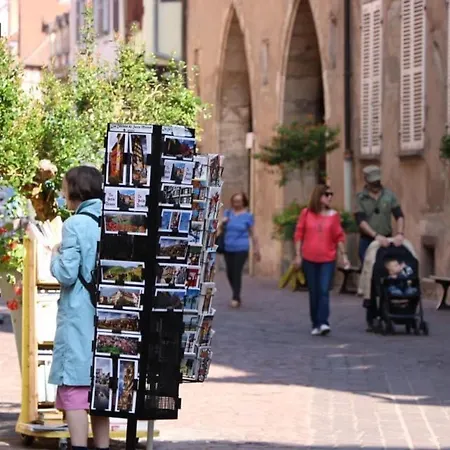 Rénové Près Du Centre De Avec Balcon, 2 Et Wi-fi Inclus - Fr-1-722-7 * Colmar