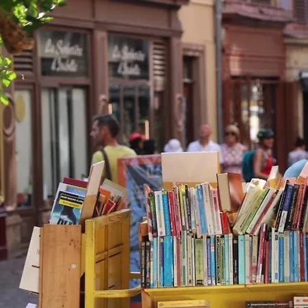 Appartement Rénové Près Du Centre De Avec Balcon, 2 Et Wi-fi Inclus - Fr-1-722-7 Colmar
