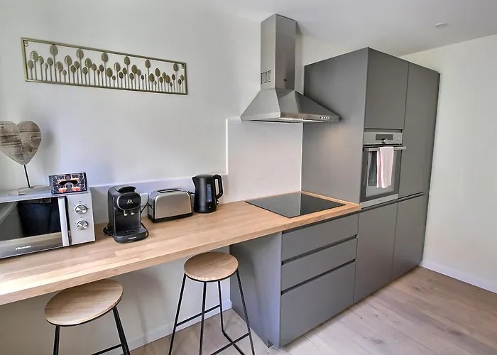 Apartment Renove Pres Du Centre De Avec Balcon, 2 Et Wi-fi Inclus - Fr-1-722-7 Colmar