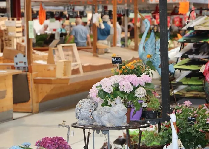 Apartment Renove Pres Du Centre De Avec Balcon, 2 Et Wi-fi Inclus - Fr-1-722-7 *